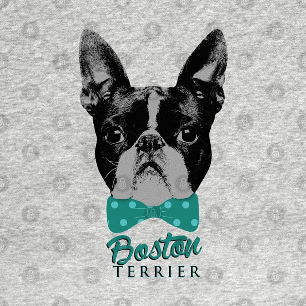 Boston Terrier dog by Nartissima